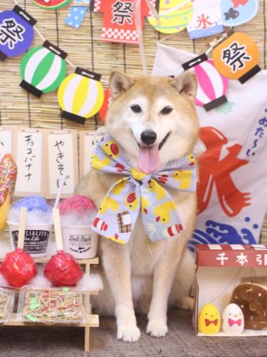 20240728こはるちゃん